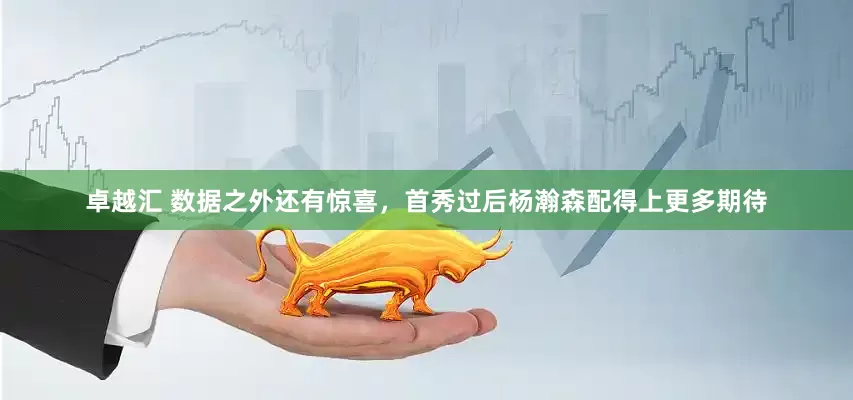 卓越汇 数据之外还有惊喜，首秀过后杨瀚森配得上更多期待
