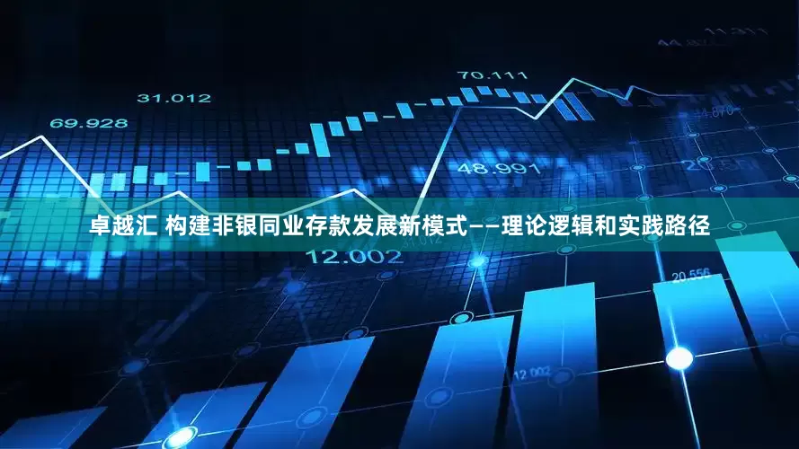 卓越汇 构建非银同业存款发展新模式——理论逻辑和实践路径